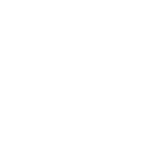 voice